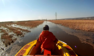 driving hovercraft in swamps