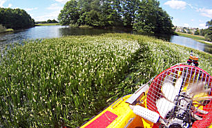 on board Typhoon MAD-81L hovercraft in swamp with roses